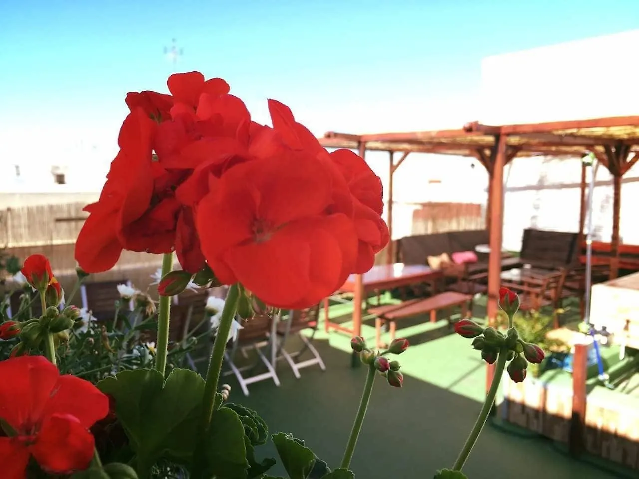 Hostel Summer Cádiz